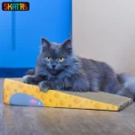 Catnip-infused Skatrs Say Cheese Corrugated Cardboard Scratcher Pad Toy(Length 41cm) - Image 4