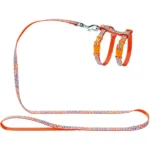 Hunter Sweet Set Nylon Leash and Harness for Kittens and Puppies(Orange)