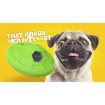 JW Natural Sound Dog Rumbler Toy (Green) - Image 5