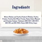 Jelly Adult Complete and Balanced Cat Wet Food with Purina Felix Salmon - Image 5