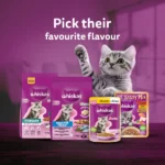 Kitten Cat Wet Food with Whiskas Chicken in Gravy Meal - Image 6