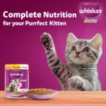 Kitten Cat Wet Food with Whiskas Chicken in Gravy Meal - Image 5