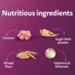 Kitten Cat Wet Food with Whiskas Chicken in Gravy Meal - Image 7