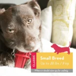 Kong Dental Sticks Red Dog Toy For Forceful Chewers - Image 3