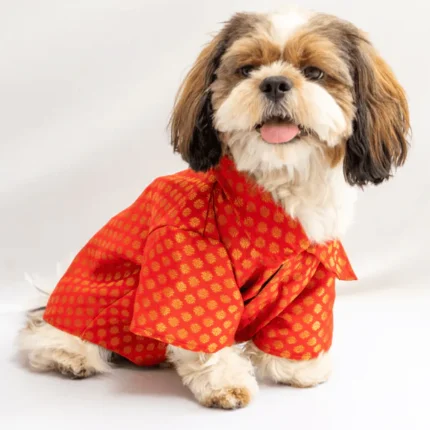 Pawgypets Dog and Cat Occasion Wear Shirt (Red)