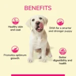 Real Chicken Gravy Puppy Wet Food from Canine Creek - Image 5