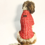 Dogs' Pawgypets Bandani Kurta (Red) - Image 4