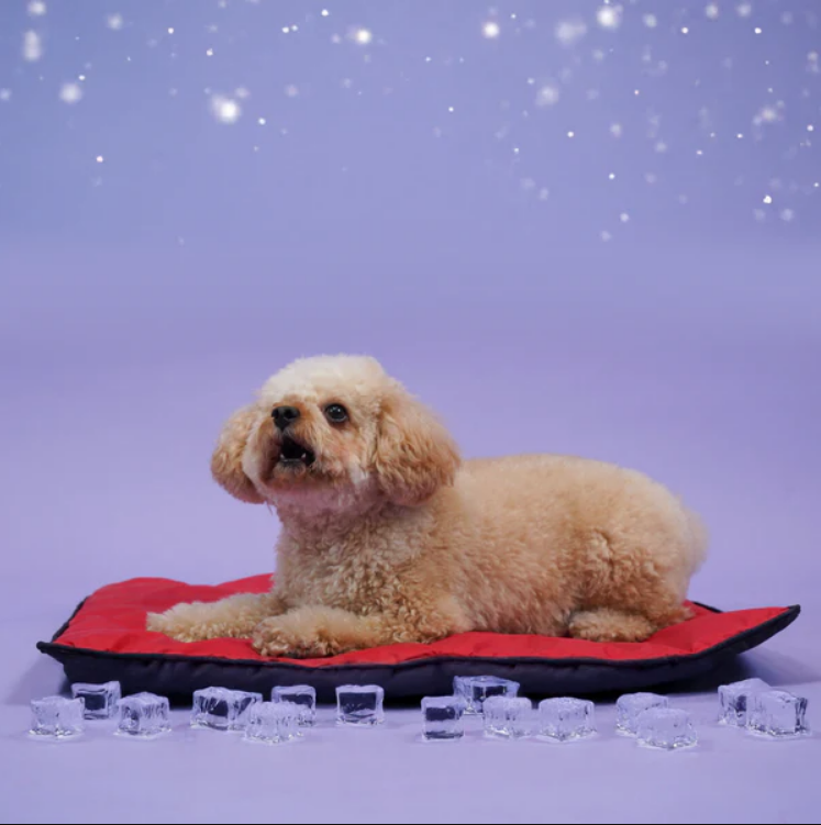 Screenshot_158 Dogs' Skatrs Cooling Mat(Red) - Image 1