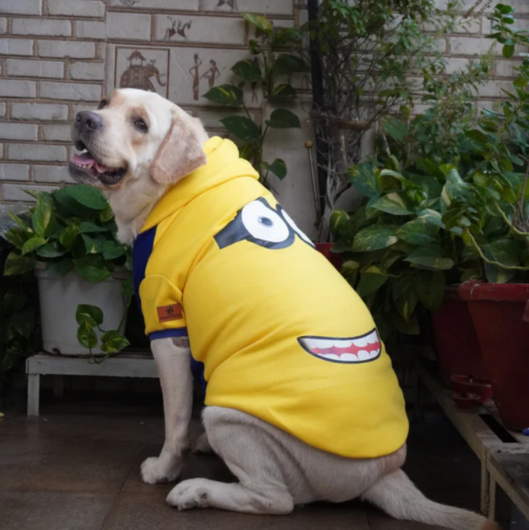 Screenshot_210 Dogs and Cats Pawgypets Stripe Hoodie Sweatshirt (Minion Yellow) - Image 1