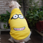 Dogs and Cats Pawgypets Stripe Hoodie Sweatshirt (Minion Yellow) - Image 3