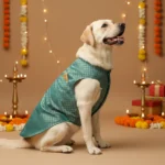 Skatrs Gold-Printed Brocade Sherwani for Cats and Dogs (Teal)