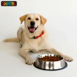 Skatrs Anti Skid Stainless Steel Bowl for Dogs and Cats(1400mL) - Image 4