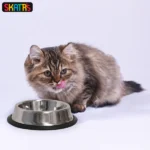 Skatrs Anti Skid Stainless Steel Bowl for Dogs and Cats(1400mL) - Image 5
