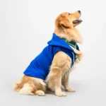 Skatrs Breezy Dog and Cat Hoodie with Pockets(Blue)