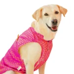 Skatrs Gold-Printed Brocade Sherwani for Cats and Dogs (Pink) - Image 7