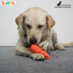 Skatrs Rope Chew Toy in the Shape of a Carrot for Dogs and Cats(Orange) - Image 3