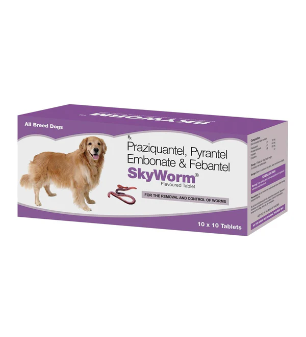 Skyec Skyworm Tablet for Dog Deworming Skyec Skyworm Tablet for Dog Deworming (pack of 10 tablets) - Image 1