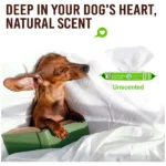 Unscented Talking Dog Club Wipes for Cats and Dogs - Image 5
