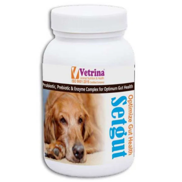 Vetrina Setgut Powder for Cats and Dogs Vetrina Setgut Powder for Cats and Dogs(50g) - Image 1