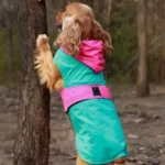 Dogs Pet Set Go Splash Waterproof Raincoat(Aqua Pink) - Image 4