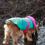 Dogs Pet Set Go Splash Waterproof Raincoat(Aqua Pink) - Image 6