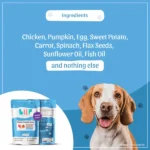 BLEP Dog Wet Food with Pumpkin and Chicken (300g) - Image 4
